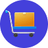 E-commerce Sector